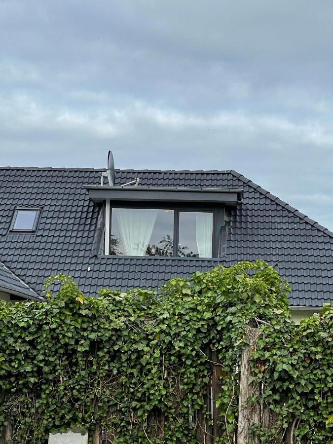 Uhse Wohlfuehloase Appartement Heide  Buitenkant foto